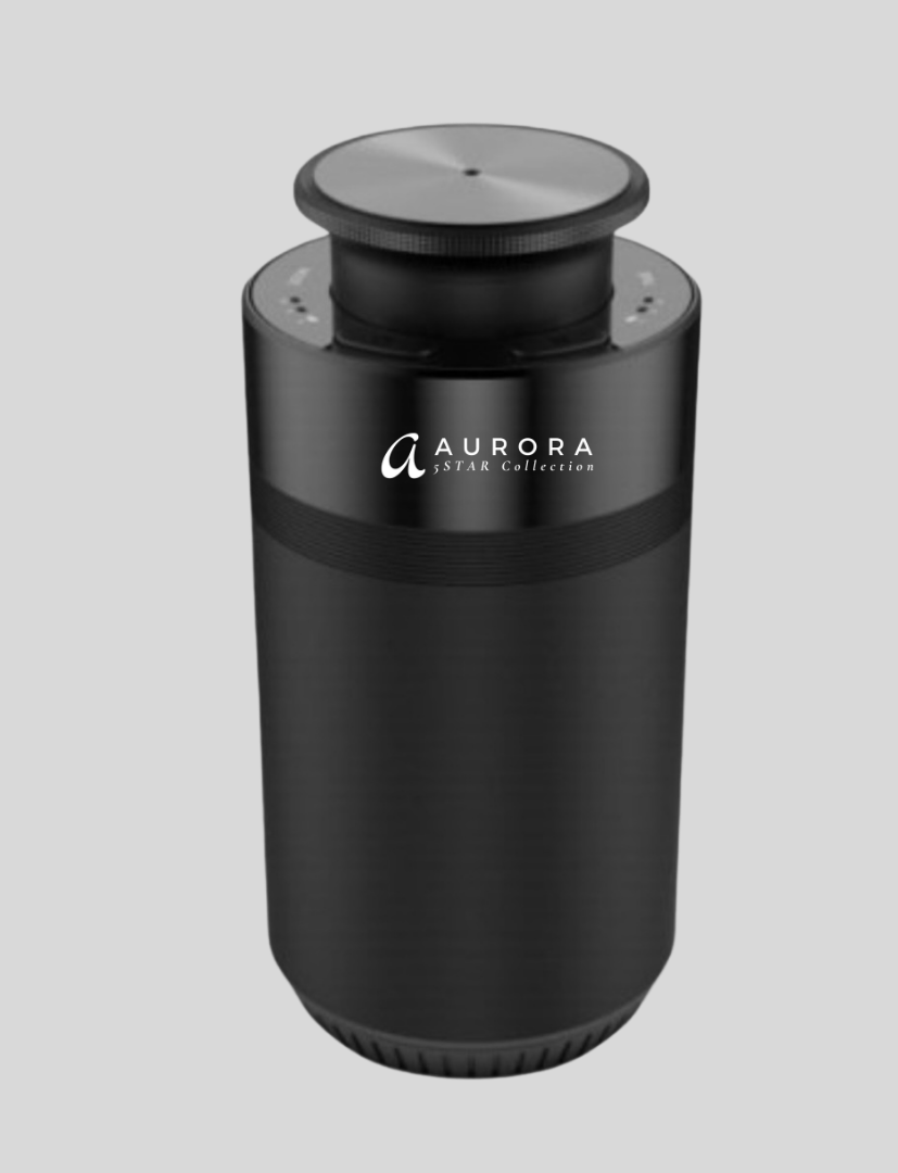 Aurora 2-in-1